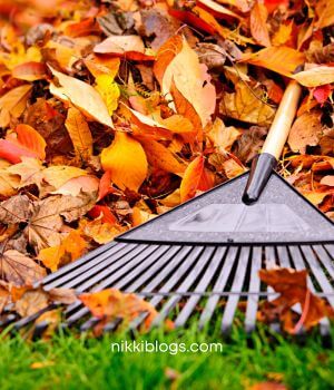 autumn blog