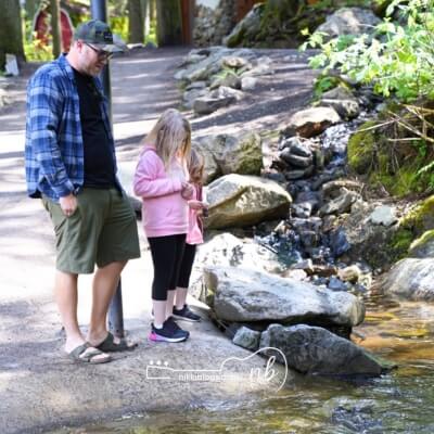 going on road trip with kids - break at Revelstoke Enchanted Forest