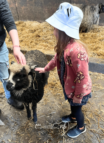 homeschool farm field trip