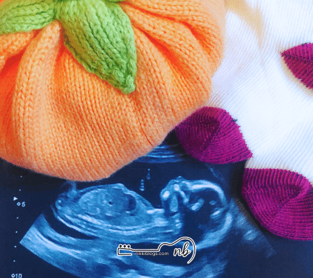 pregnancy announcement with ultrasound, pumpkin, and baby socks for fall