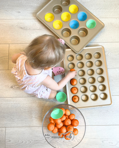 toddler sorting fruit and muff tray liners in muffin tins
